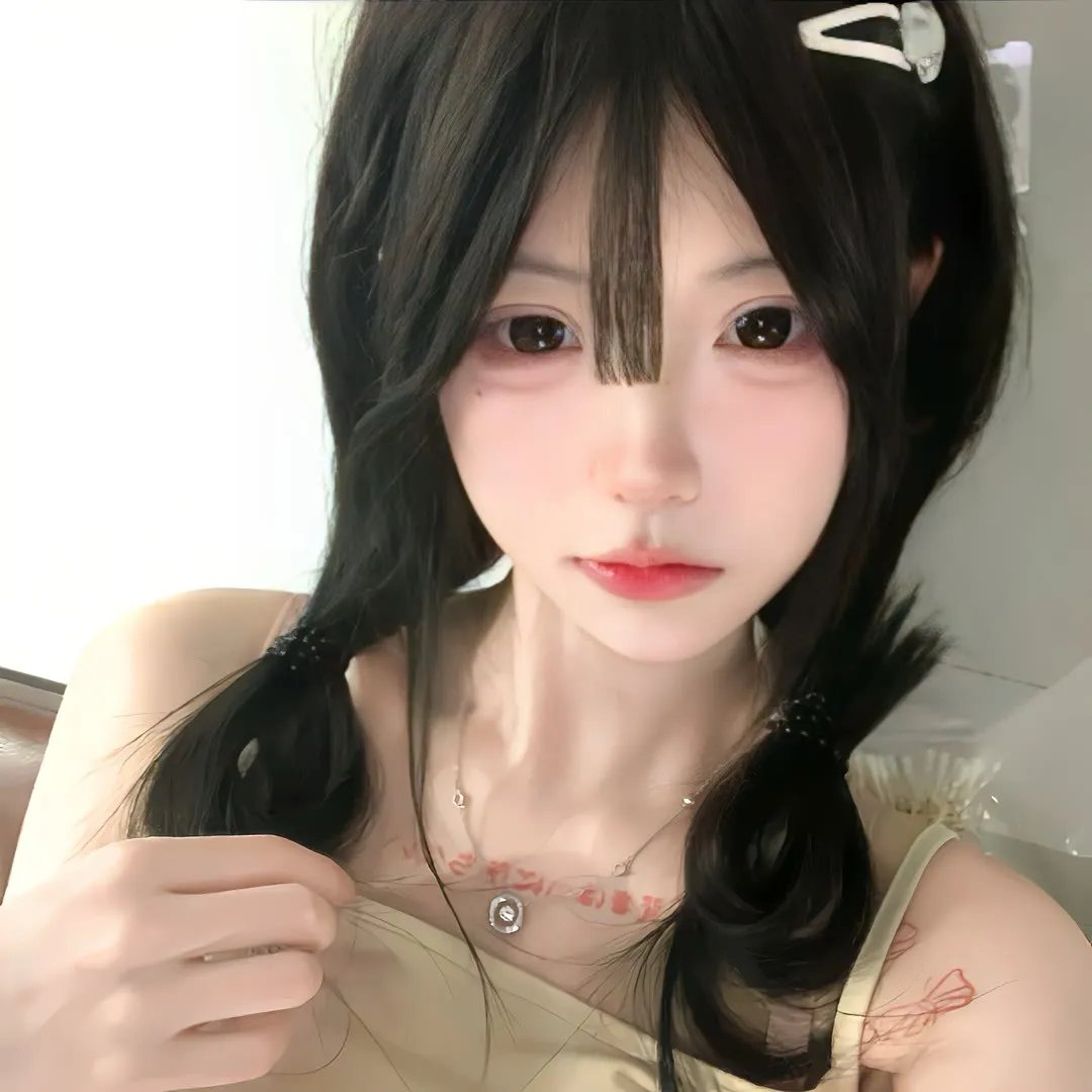 来自收容所的爱